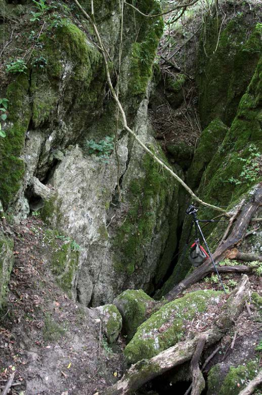 Dati i problemi di sicurezza e le difficoltà nel posizionare l attrezzatura presso il cancello installato, senza creare intralcio al passaggio della fauna, le riprese video con videocamera con