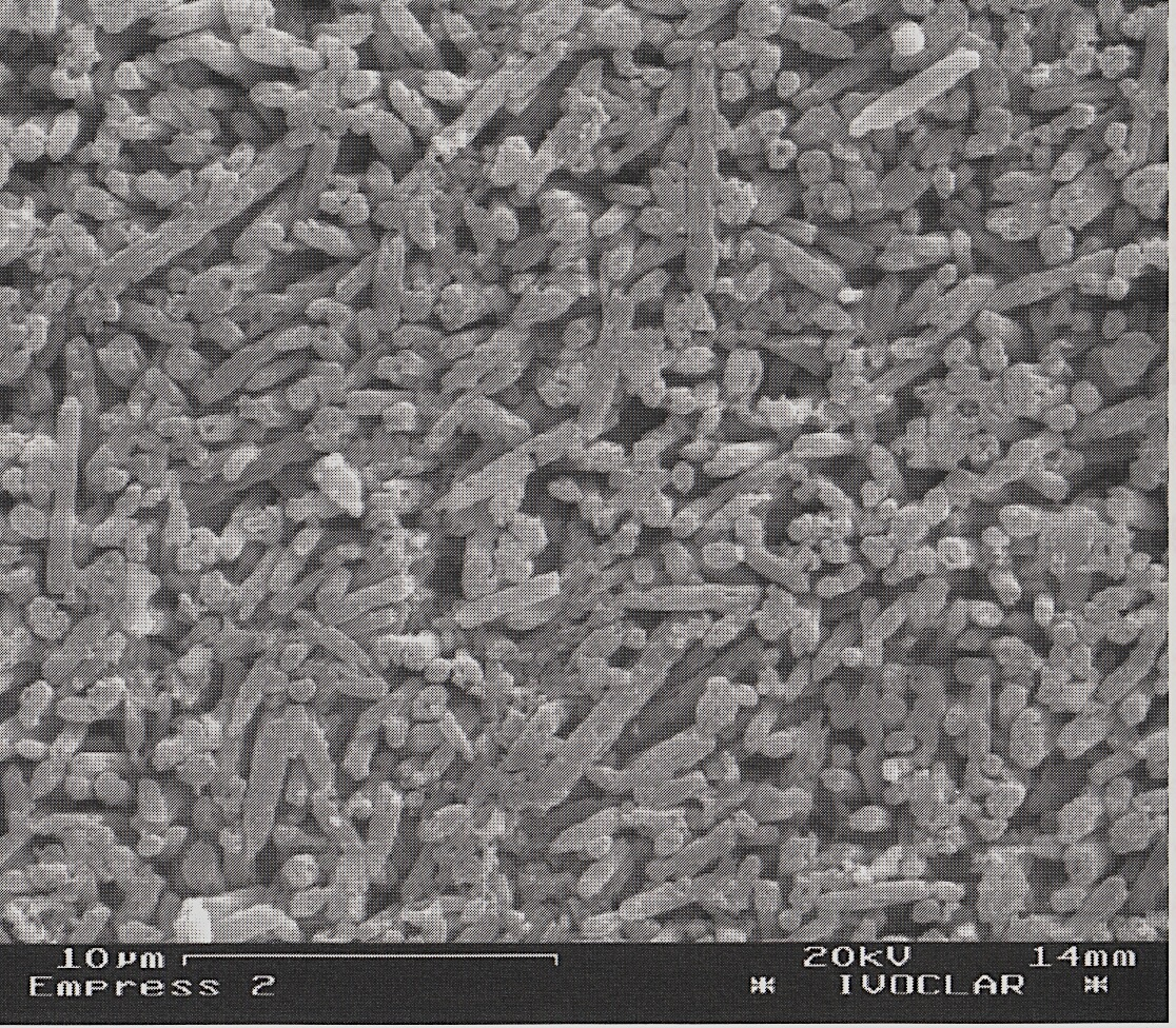 vetroceramiche a base di silicato di litio - cristallizzazione per nucleazione eterogenea a 900-950 C - fusione a cera persa (versatilità di forme): a. produzione di vetro e macinazione b.