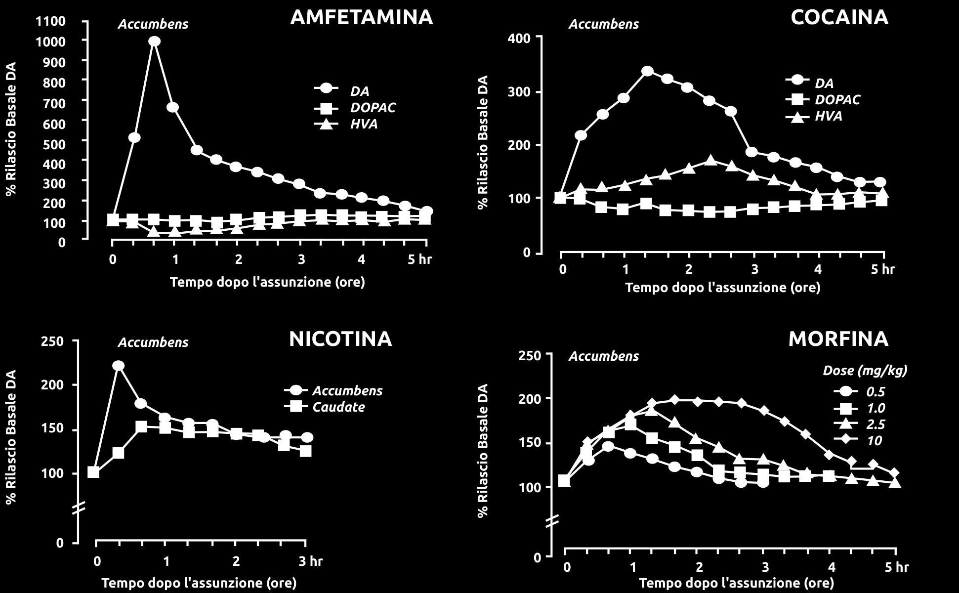 (ore) Tempo dopo l assunzione (ore) Accumbens NICOTINA Accumbens MORFINA Dose (mg/kg) Accumbens