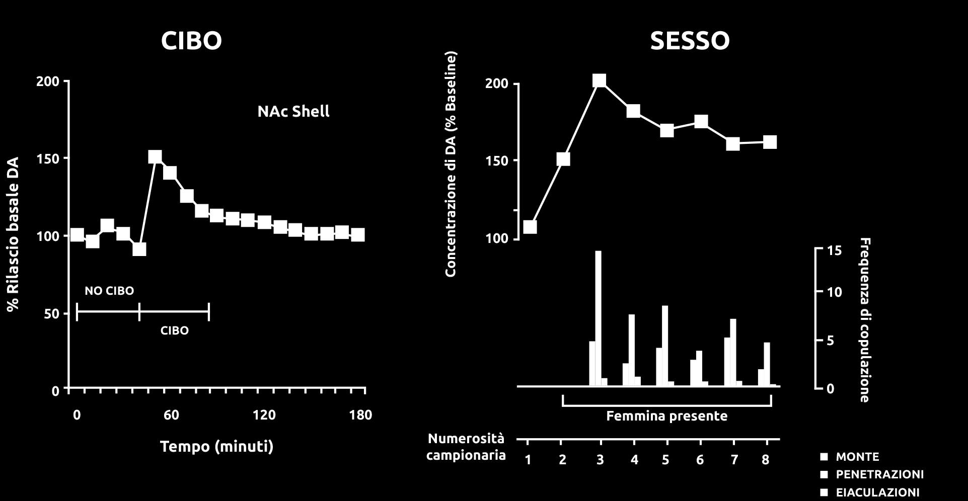 % Rilascio basale DA Concentrazione di DA (% Baseline) I rinforzi naturali aumentano il livello di dopamina CIBO SESSO NAc Shell Frequenza di copulazione Tempo