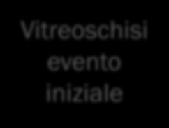 3 Adesioni vitreo-papillari (VPA) NEL CORSO DI