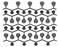 Una tipica proteina fibrosa che forma foglietti-β