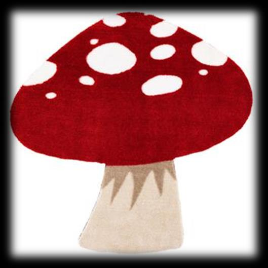 Nr PH149 Tappeto Mushroom CHF 199.