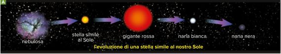 disposizione nello spazio delle stelle della costellazione di Orione: sono lontanissime tra loro, separate da distanze di centinaia o migliaia di anni-luce.