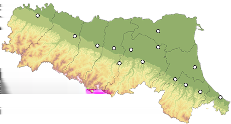 Localmente anche pollini di ontano nero, frassino, nocciolo e pioppo.