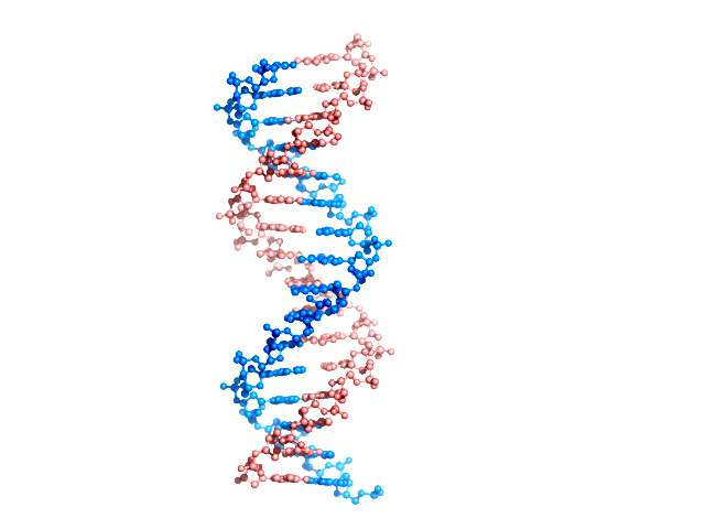 Il DNA ha la forma di un elica a