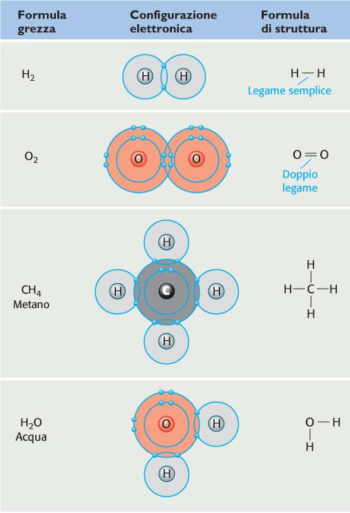 Mediante i legami covalenti gli atomi condividono elettroni formando molecole Nei legami covalenti due atomi mettono in comune una o più