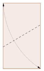 sovrapporsi a se stessa (diagonale del rettangolo) divide il foglio in due triangoli rettangoli 30-60 metà del triangolo equilatero di lato doppio del lato corto del