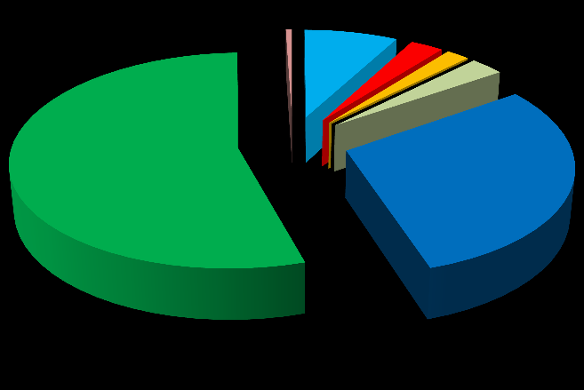 Accesso Diretto: distribuzione incentivi per interventi realizzati 213-214 2.D:,5% 1.A: 7,8% 1.B: 2,8% 1.C: 1,9% 2.C: 54,3% 2.B: 29,9% 1.D:,3% 2.A: 2,8% 1.A - Involucro opaco 1.