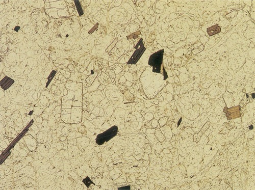 Tessitura perlitica in vitrofiro (nicol //).