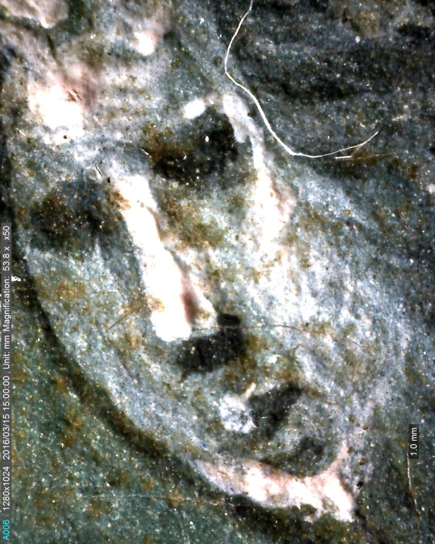 Microscopia portatile M02: volto dell angelo dietro l albero M02: Visibile M02: Radente M02: Fluorescenza UV RAP 9623 01