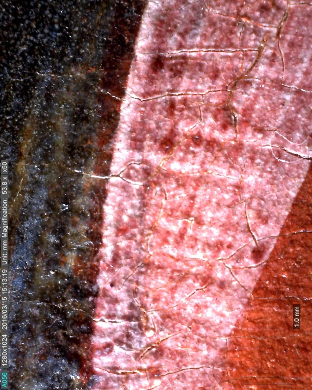 Microscopia portatile M13: risvolto del manto rosso della