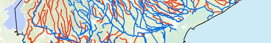 attualmente disponibili Aste fluviali di