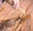 Confezioni: unità da 2,5 kg (comp. A = 2 kg e comp. B = 0,5 kg). Mapewood Paste 140 Adesivo epossidico a consistenza tissotropica, per il restauro di elementi strutturali in legno.