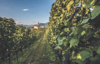 Alto Adige e l Eos (Organizzazione export della Camera di commercio di Bolzano) hanno imparato a valorizzare il legame tra vino e territorio con eventi e itinerari enoturistici, considerando le