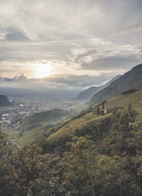 Con 4.874 ettari vitati e 287.74 ettolitri di vino nel 202, la Doc Alto Adige è la colonna portante dell enologia regionale.