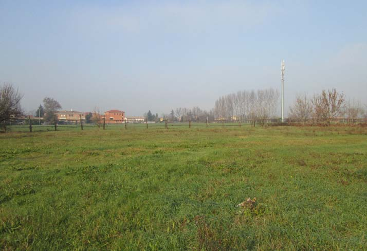 4 Relazione geologica, geotecnica e sismica inerente lo studio del terreno di fondazione di un area destinata ad ambito residenziale, sita in Via Torchio, frazione di Limidi nel Comune di Soliera