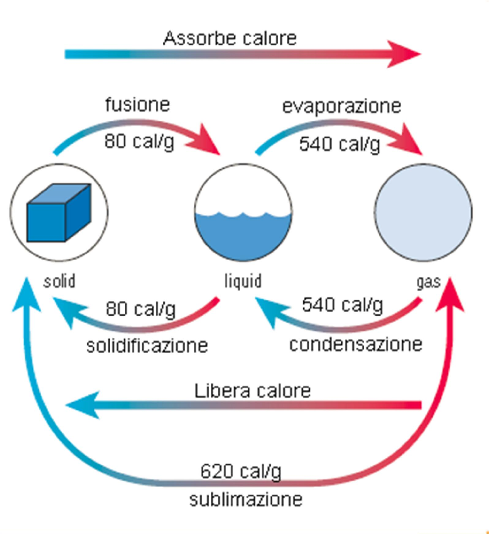 Passaggi di stato Da solido a liquido (fusione): occorrono 80 cal g -1 : finché tutto il ghiaccio non si è sciolto, la temperatura del solido non va oltre 0 C.