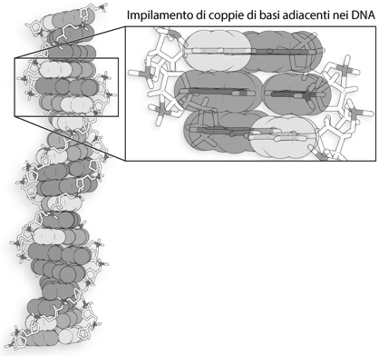 determina il loro allineamento su piani