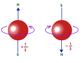 All interno di ciascun livello energetico gli elettroni si muovono non solo intorno al nucleo ma anche sul loro stesso asse.
