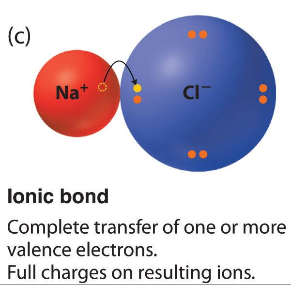 I legami che formano le molecole Legame covalente Legame ionico