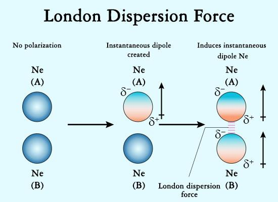 Forza dipolo indotto istantaneo-dipolo indotto istantaneo (o forza di dispersione di London) Le forze di dispersione di London, sono forze intermolecolari deboli che si formano a causa delle forze