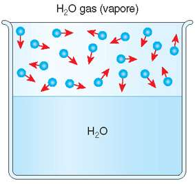 tensione di vapore dell H 2 O pressione che le molecole d acqua esercitano sulle pareti di un contenitore quando passano dallo