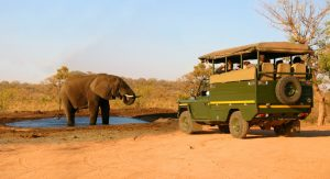 Esperienze Sudafricane (supplemento di 433 euro a persona) che include due escursioni di intera giornata, alla Penisola del Capo ed alla Regione dei Vigneti, una visita guidata alla città di Cape