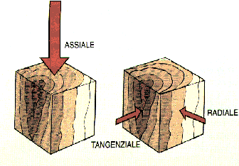 Prova di compressione La prova di compressione può essere utilizzata per determinare la resistenza meccanica del legno.