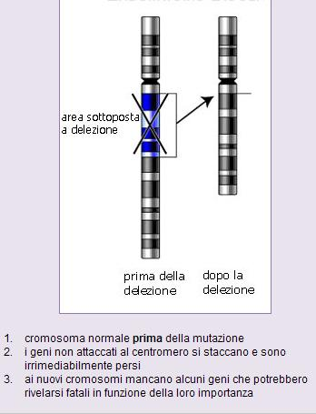 Anomalie cromosomiche di struttura 1.