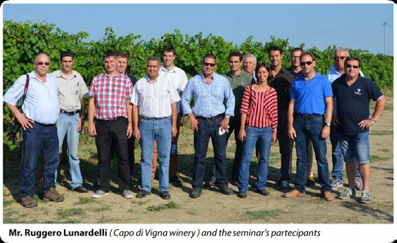 È stato possibile osservare come le vigne concimate con fertirrigazione e/o concimi NPK a rilascio di azoto controllato, presentavano una vegetazione migliore e più equilibrata rispetto alle viti