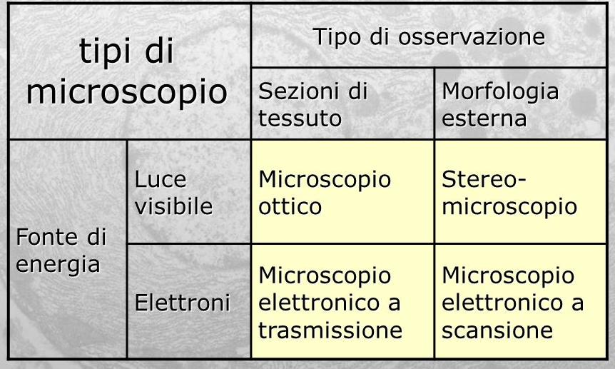 confronto