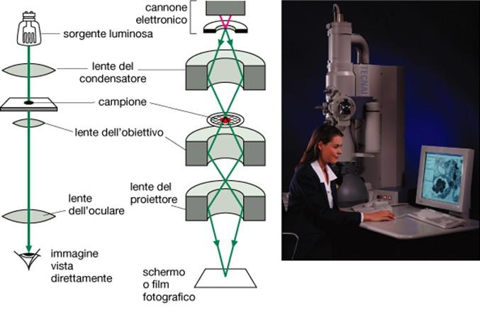 M. Elettronico a