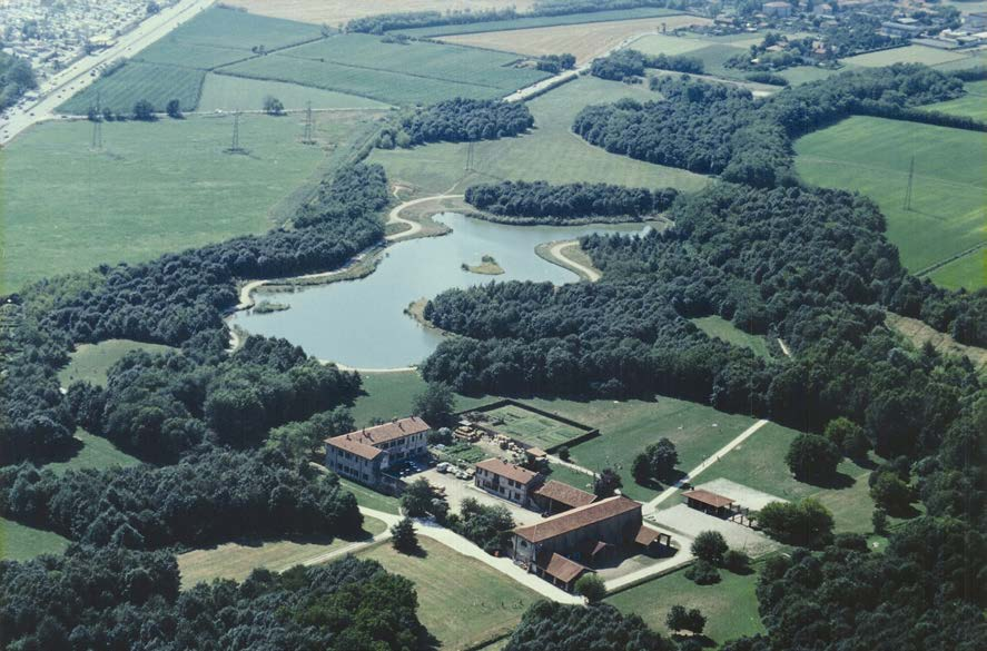 Perdita di biodiversità e del patrimonio verde - A rischio le foreste urbane