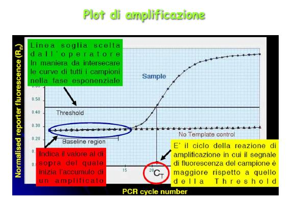 Reverse trascriptase-pcr RT-PCR La reazione di retro-trascrizione (trascrittasi inversa) consente la produzione di cdna ( DNA complementare) a partire da una molecola di mrna (RNA messaggero).