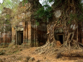 Giorno 8 Beng Mealea Koh Ker - Prima colazione in hotel. Incontro con la guida locale e partenza a bordo di auto o mini van.