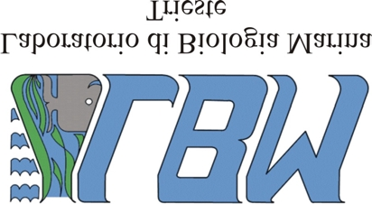 3 settembre 2004 Friuli Venezia Giulia, località: Miramare (TS) Unità Operativa: Laboratorio di Biologia Marina La quarta crociera di monitoraggio, è stata caratterizzata da buone condizioni