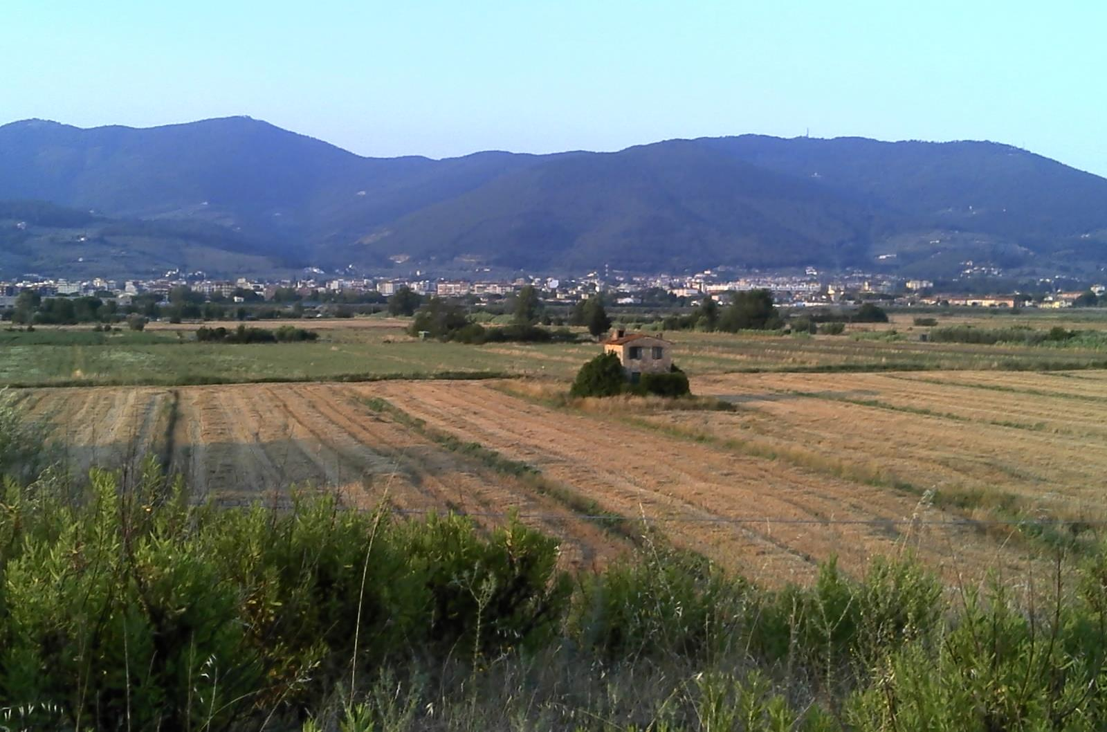 Analisi del paesaggio L area in esame comprende un tratto della pianura alluvionale del bacino dell Arno compresa fra le città di Prato e Firenze ed è delimitata a nord dall area pedemontana di Monte