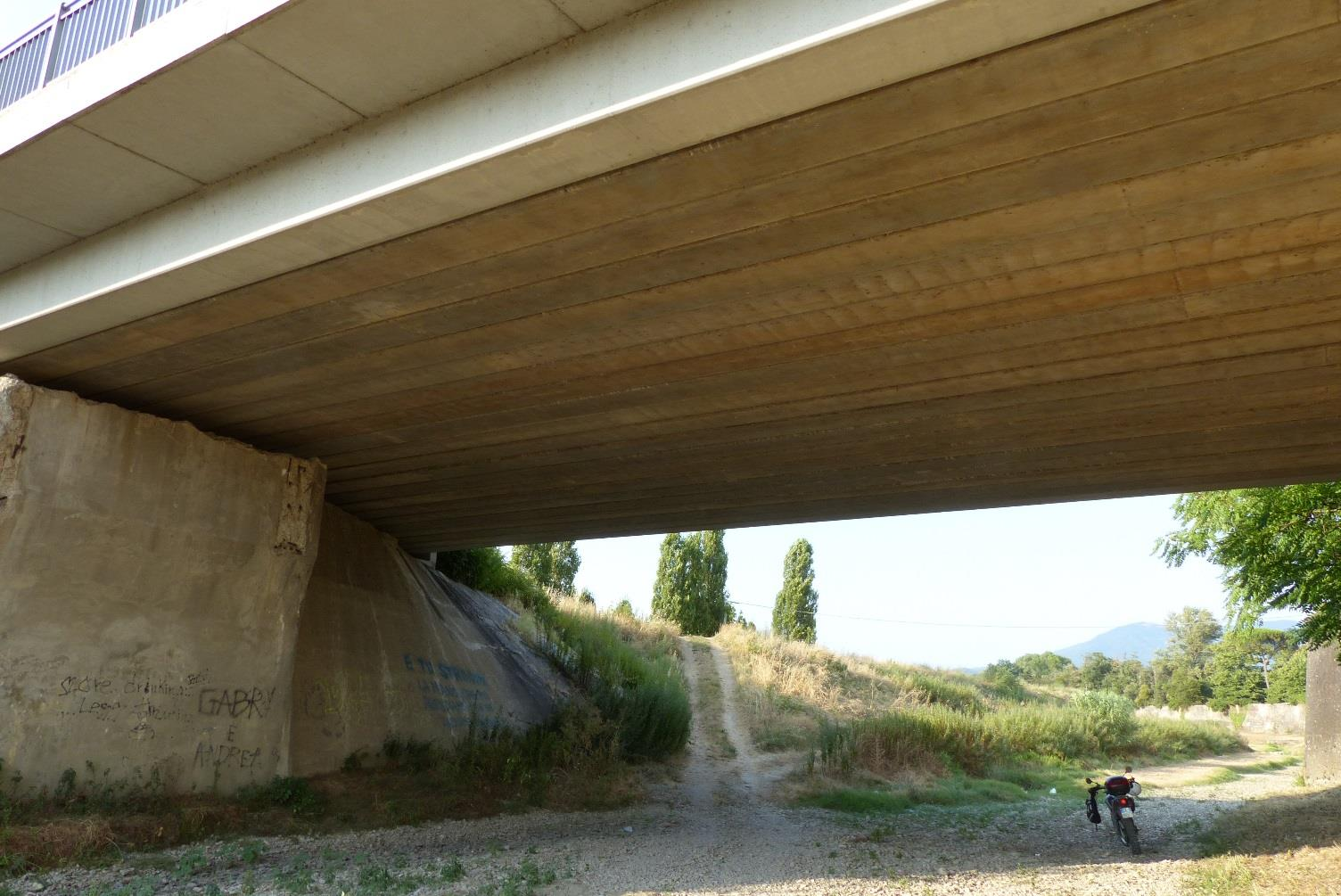 Edificio AV24 (ponte stradale sulla SP 5 nei pressi di Villa Montalvo) Data 21/07/2015 Coordinate UTM WGS84 32 T 671974 4855010 quota 40 Distanza dall'impianto 2,0 km Specie rilevate Piccola colonia