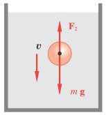 F d g k g k g Forza di attrito iscoso e il oto d g k g k dt + F a dt e Si consideri un punto ateriale di assa lasciato cadere in un fluido e si assua che le uniche forze agenti siano la forza peso F