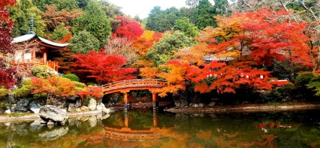 foglia d oro. A seguire visita del Tempio Ryoanji, originariamente la villa di un aristocratico, poi convertito in un giardino zen.