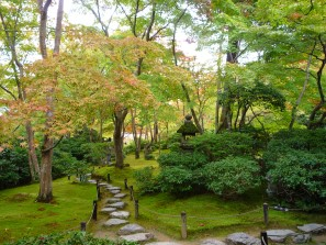 A termine visita del Santuario Kasuga, famoso per le sue 3000 lanterne di pietra e di bronzo che sono state donate nel corso degli anni da fedeli o gente comune come segno di fede o di riconoscenza.
