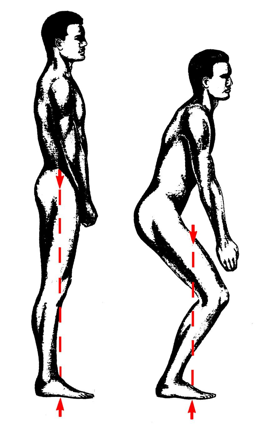 La linea di azione del peso del corpo (rossa) passa più vicina alle articolazioni di anca, ginocchio e caviglia nella figura a sinistra.