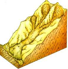 Il termine FRANA è generico, in quanto si intende un movimento di una massa di roccia, terra o detrito verso il basso lungo un versante.