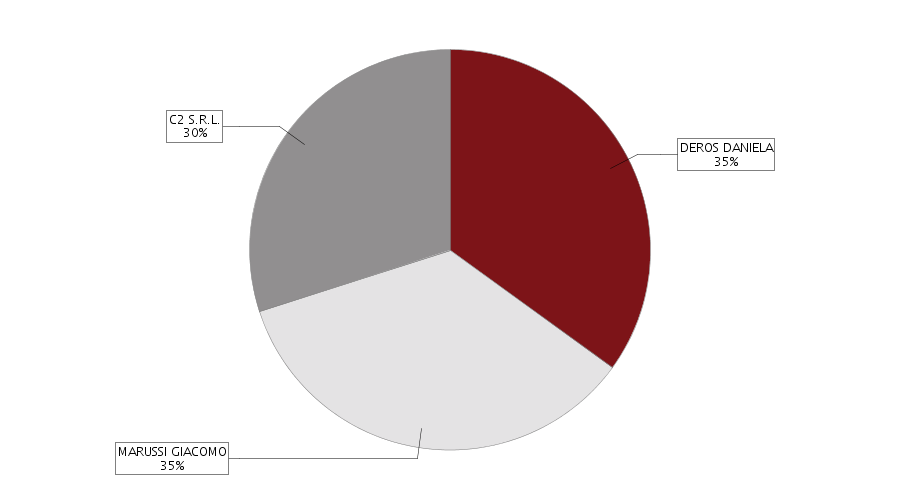 Il grafico a torta e la tabella sottostante rappresentano una sintesi della composizione societaria dell'impresa (le quote di proprietà sono sommate per titolare e poi arrotondate).