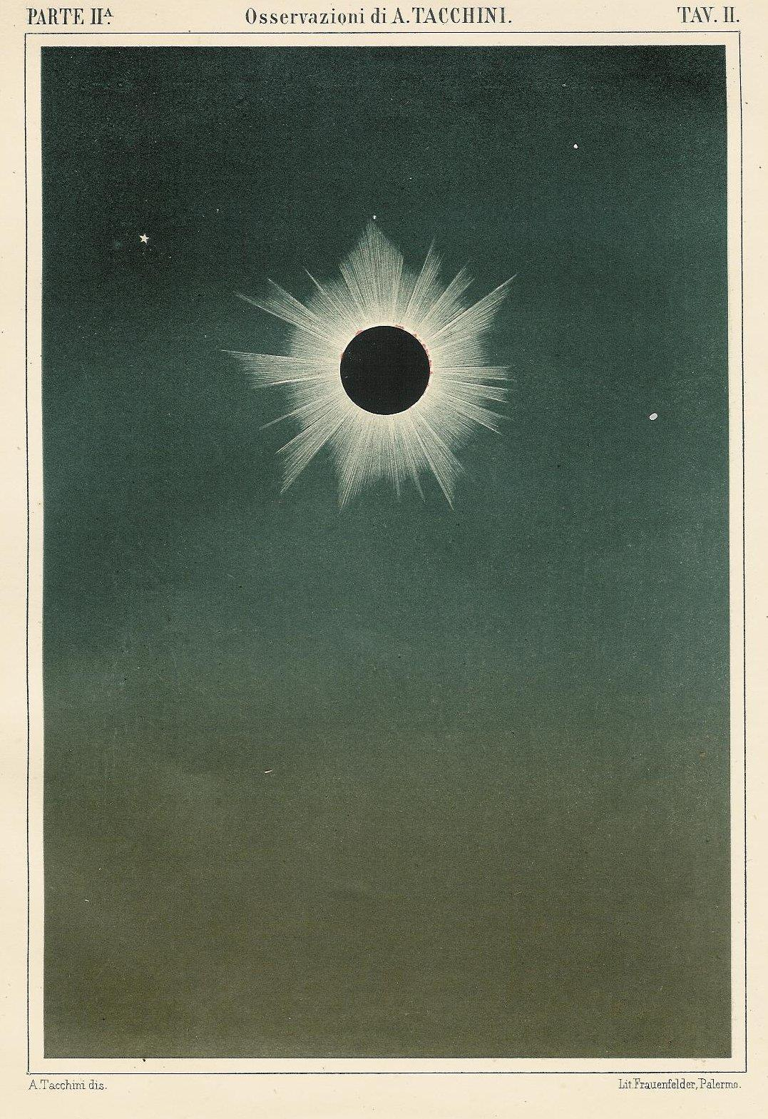 Il Sole Un disegno della corona solare eseguito da Pietro