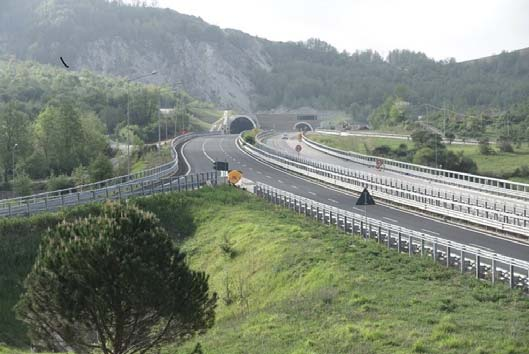 presenza di fenomeni di sofferenza della vegetazione. FVF 09 DA LATO S VIADOTTO NOCE A LATO N. GALLERIA T. RENAZZA PRECEDENTI OSSERVAZIONI DEL MONITORAGGIO realizzate (rev a PMA) Monitoraggi a.o. 07/11/2007 PRECEDENTI OSSERVAZIONI DEL MONITORAGGIO realizzate (rev b PMA) Monitoraggi c.