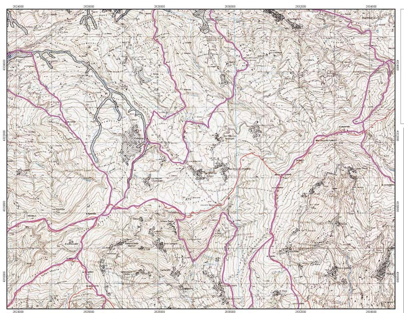 basati su rilievi topografici areali di dettaglio, in particolare per le zone ritenute allagabili con l utilizzo di modelli bidimensionali.