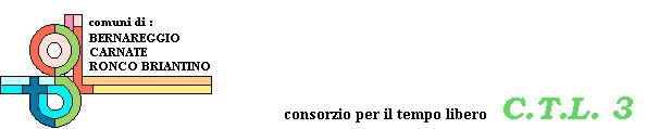 PREMESSA Il Consiglio d Amministrazione CTL3 ha esperito gli opportuni approfondimenti al fine di valutare gli interventi occorrenti per l adeguamento della struttura sportiva del Campo di Calcio e