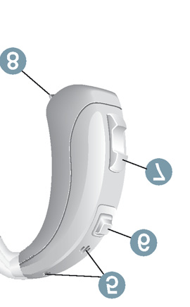 Gli apparecchi acustici sono dotati di un LifeTube o di un gancio per l'orecchio.